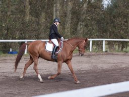 IMG_7848_web